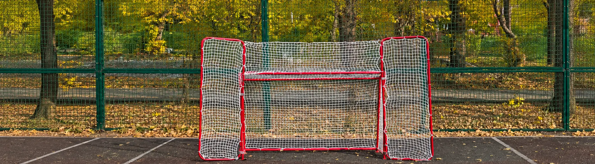 Хоккейные ворота с боковыми сетками Maxim Hockey
